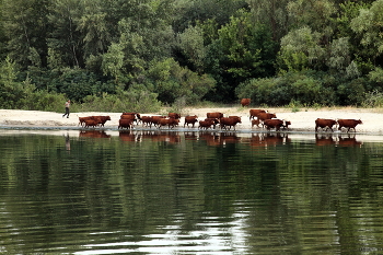 &nbsp; / где то на Дону...