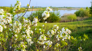 Утром у озера / Красноармейский район. Челябинская область