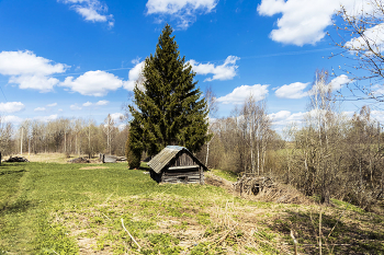 Старая банька / Смоленская обл.