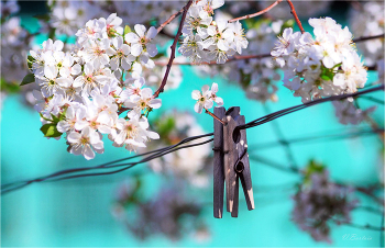 Улыбнись весне / Настроение пошалить