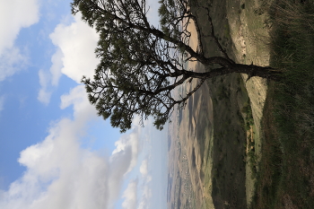 Просторы Армении в мае / Араратская долина смотрелась особенно красиво под тенями облаков в майский солнечный день.