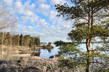 весна в Монрепо / Монрепо́ — скальный пейзажный парк на берегу бухты Защитной Выборгского залива, на острове Твердыш в северной части города Выборга в Ленинградской области