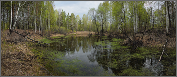 Лягушачье царство / Челябинская область