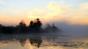 На рассвете. / Утро туманное на озере Сосновое.