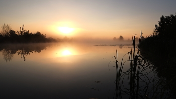 Тишина на рассвете. / ***