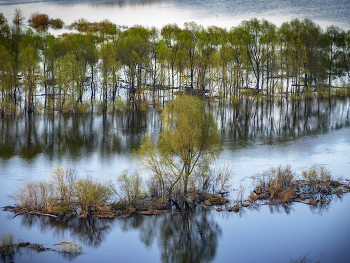 Большая вода / Паводок