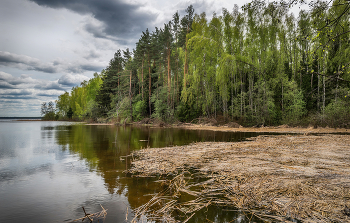 &nbsp; / Берег Учинского водохранилища