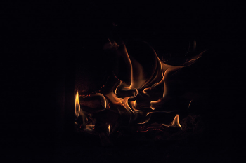 Жизнь вокруг / Описание