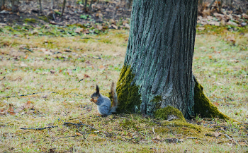 белка / https://www.instagram.com/vaguro_v_u_v

https://web.facebook.com/evgeniy.vagouro

https://vk.com/e.vaguro

https://www.youtube.com/user/MsREPOMEN

https://zen.yandex.ru/id/6229efa215abe97a09db4a54

https://www.tiktok.com/@vaguro_v_u_v