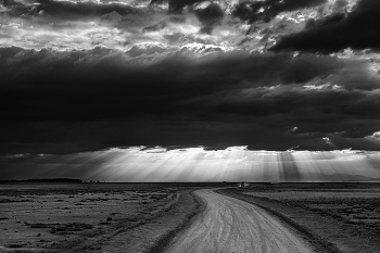 Африка / Национальный парк Масаи Мару в Кении