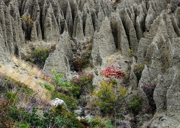 Осень в Крыму. / Осень в Крыму.