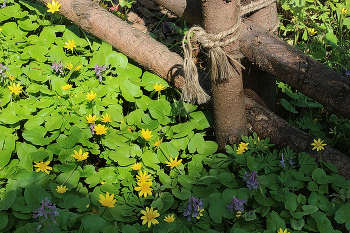 Уютный майский уголок... / Уютный майский уголок...