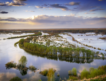 Весна / Паводок