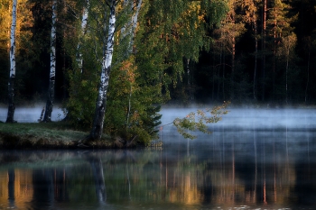 На восходе....... / Петербург. Осиновая Роща. Сентябрь