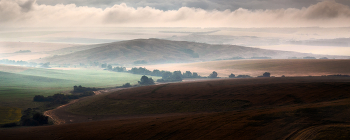 Ненастное утро / Лето