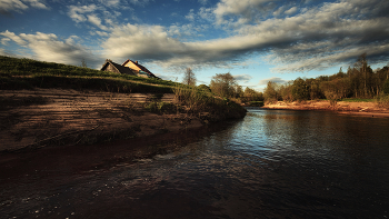 Жизнь вокруг / Описание