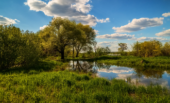 Вот она какая – сторона родная! # 09 / 21 мая 2022 года. озеро у города Дрезна, Восток Московской области