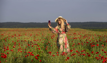 Гад-же-ты... / Без комментариев