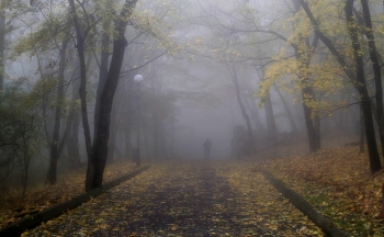 Кавказская осень.... / Железноводск. Октябрь