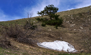 Дела "сердечные" / Крым. Северный Демирджи