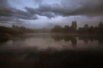 Жизнь вокруг / Описание