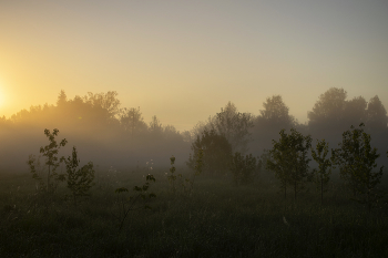 Из серии &quot;Призрачный рассвет&quot; / Раннее летнее утро. Все вокруг покрыл туман, превратив привычные виды в необычные силуэты.