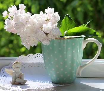 Весенний натюрморт! / Натюрморт с сиренью!