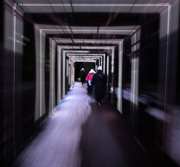 перспектива / ***