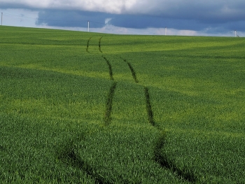  / /\/\/\/\