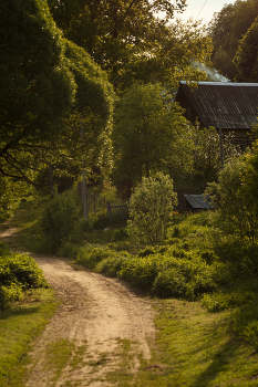 Жизнь вокруг / Описание