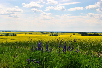 Жаркий полдень / ***