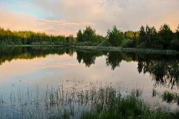 &nbsp; / Летний вечер