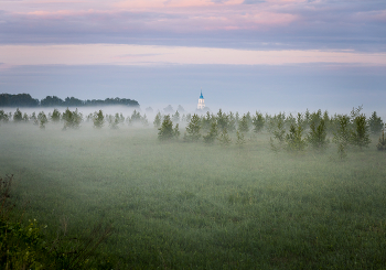 В тумане... / В тумане, 2022