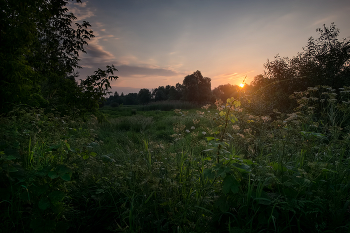 Июньский рассвет / Июньский рассвет