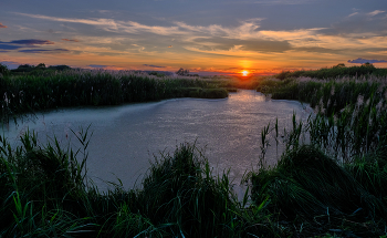 Закат уходящего летнего дня / Закат на берегу маленького болотца где обитает царевна-лягушка