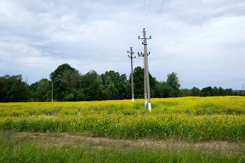без названия / Поле около пос. Тулово на окраине Витебска.