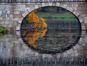 Осеннее утро........ / Гатчина. Дворцовый парк. Октябрь