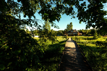 Жизнь вокруг / Описание