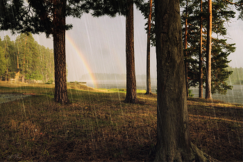 Летний дождь / Пустынь