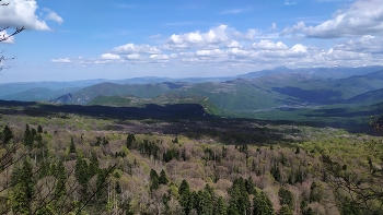 Предгорье. / Кавказ.