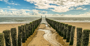 &nbsp; / Buhnen am strand