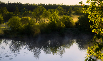 Утро весеннее. / Утро весеннее.