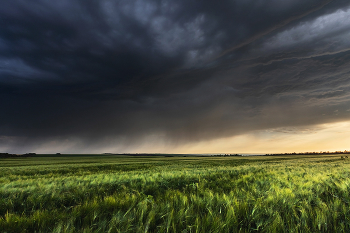 Провисло небо над полями / ***