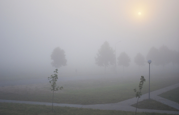 Туман / Природа Беларуси
