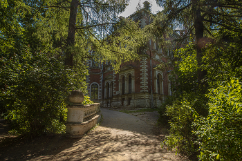 Дорога к усадьбе / Быково, парк