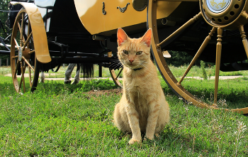 Хранитель. / Круче, чем машина.