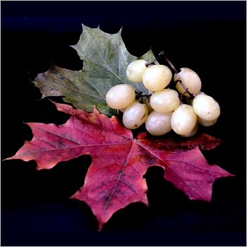 &nbsp; / Натюрморт