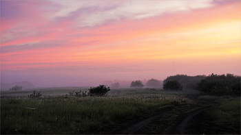 Утро малинно-персиковое / По дороге к озеру. Челябинская область.