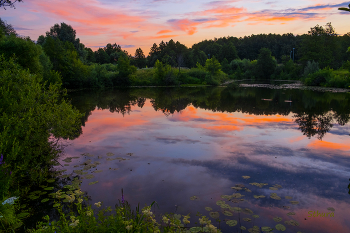 Перед восходом. / В озере Рожок отражаются утренние облака.