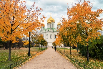 Екатерининский собор / Царское Село. Октябрь 2021